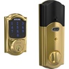 Bright Brass